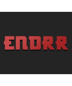 ENDRR Steam Key GLOBAL